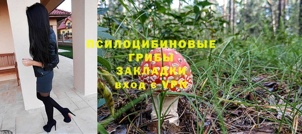 стаф Армянск