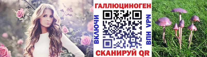 Псилоцибиновые грибы Cubensis  Купить закладки  Корсаков 